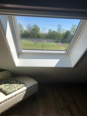 Dongjum De Stjelp B&B 외부 사진